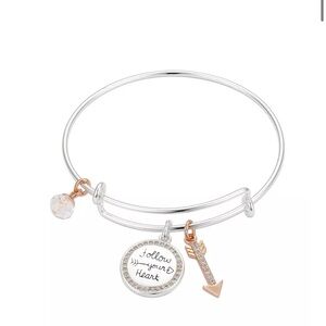 NWT Alex and Ani Silver and Gold Charm Bracelet
